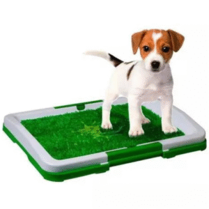 Baño Ecológico portatil para perros